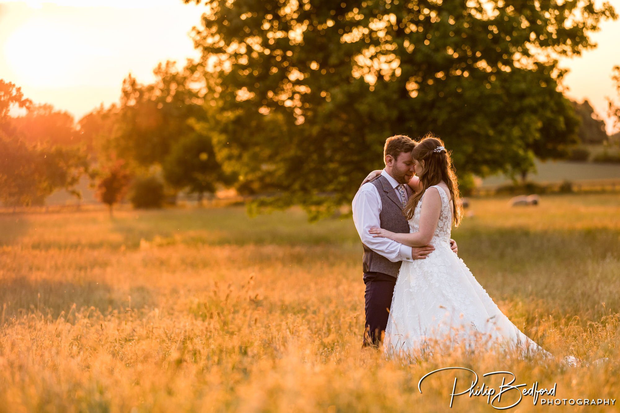 Bride and groom in a summer Meadow at the golden hour.